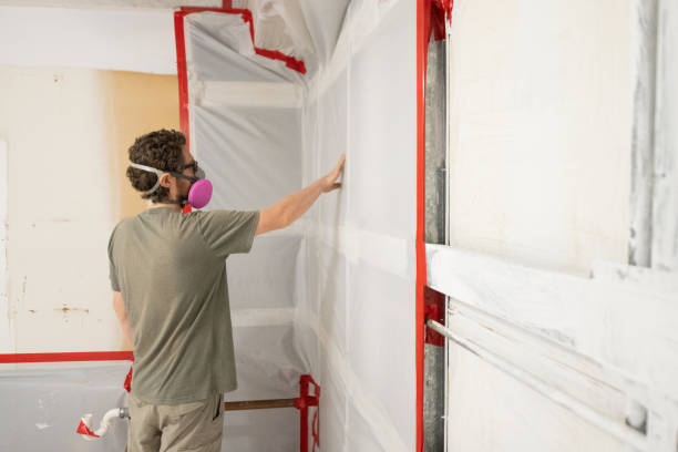 Mold Remediation for Rental Properties